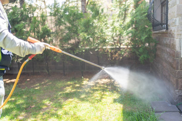 Best Local Pest Control Services  in Westmont, CA