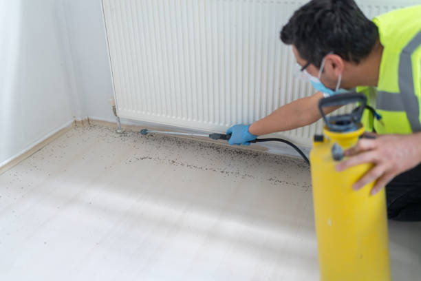 Best Best Pest Control Companies  in Westmont, CA