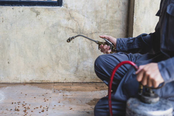 Best Pest Inspection Near Me  in Westmont, CA