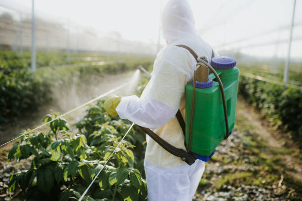 Best Cockroach Control Services  in Westmont, CA